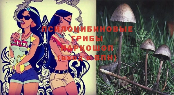 ПСИЛОЦИБИНОВЫЕ ГРИБЫ Покачи